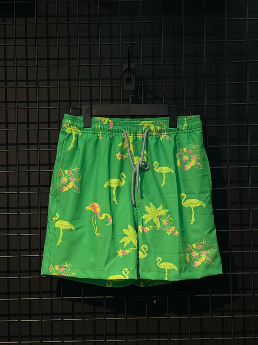 Vilebrequin Swimming Shorts