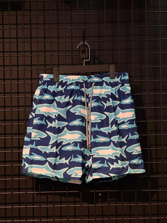 Vilebrequin Swimming Shorts