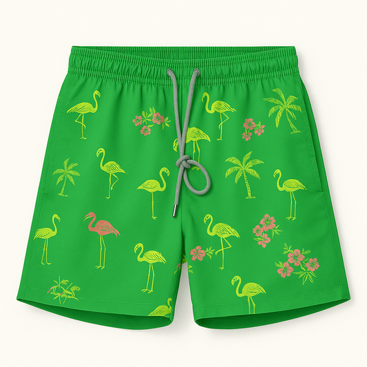 Vilebrequin Swimming Shorts